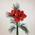 Blumenstrauß Amaryllis