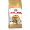 Royal Canin Bengala Adult Crocchette per gatto - 10 kg