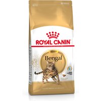 Royal Canin Bengala Adult Crocchette per gatto - 10 kg