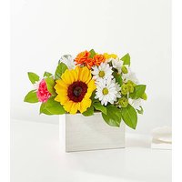Sun - drenched Blooms Box Bouquet