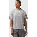 Alte Systems Aspen T-Shirt, grigio