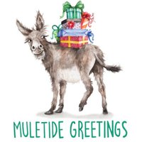 Moonpig Donkey Muletide Greetings Card