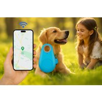 A GPS tracking key tag, One, Blue | Wowcher