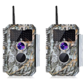 2-tlg. Wildkamera Wlan Fotofalle Jagdkamera Wildtierkamera 64MP 1296P 0,1s Schnelle Trigger Geschwindigkeit Nachtsicht Bewegungsmelder 110°PIR IP66 Wasserdichter | W600 Grau
