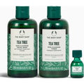 Cleanse and Purify Routine
