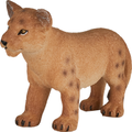 Lion Cub Standing