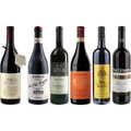 Barolo Premium Verkostungsset