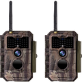 2-tlg. Wildkamera Wlan Fotofalle Jagdkamera Wildtierkamera 64MP 1296P 0,1s Schnelle Trigger Geschwindigkeit Nachtsicht Bewegungsmelder 110°PIR IP66 Wasserdichter | W600 Rot
