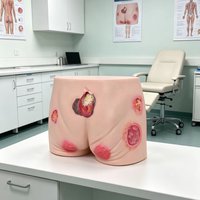 Pressure Ulcers Nursing Model Senior Pressure Ulcers Manikin Buttock Care Model Teaching Simulator Stu Education Medical Train