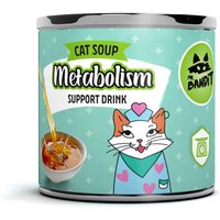 Funktioneller Drink für Katzen – Stoffwechsels