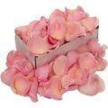 1 Box of Pink Rose Petals