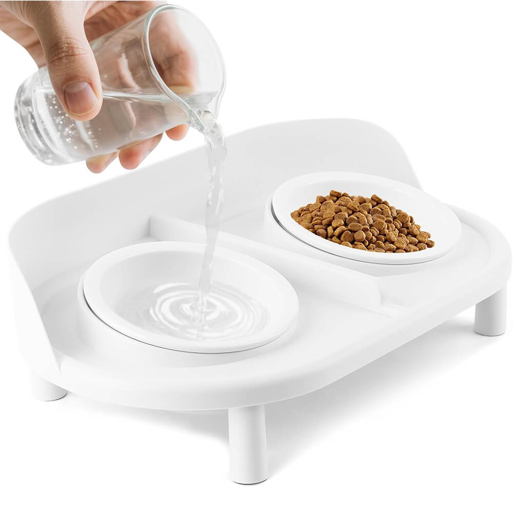 Tilted Raised Cat Food and Water Elevated Bowl with 2 Pcs Ceramic Pet Bowls - White